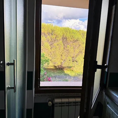 アパート Trillibiu House