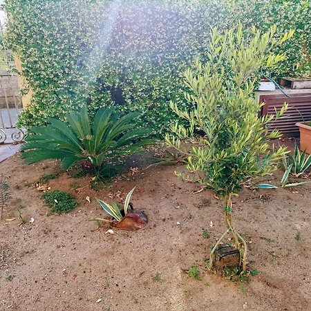 דירה Trillibiu House *